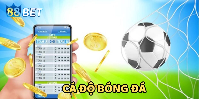 Một số kèo cơ bản