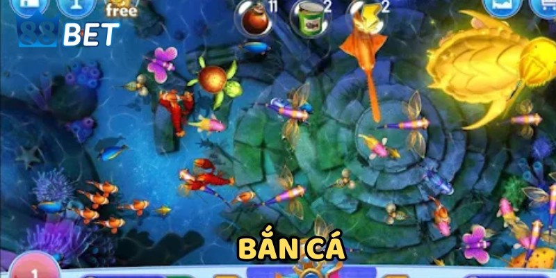 Sai lầm khiến bay vốn